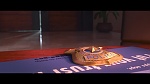 Zootopia picture