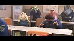 Image Zootopie