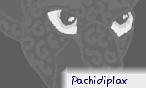 pachidiplax