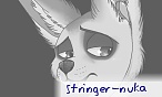 stringer
