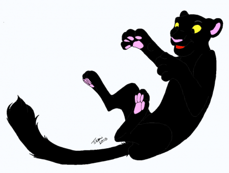 Detail Fury(furso)