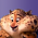 Benjamin Clawhauser